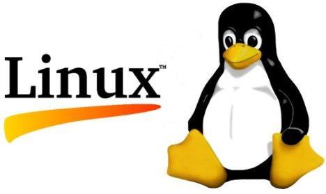 Linux 下开启缓存服务 NSCD